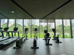Irwell Hill Residences (D9), Apartment #458602881
